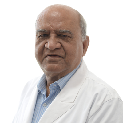 Dr. Narmada Prasad Gupta
